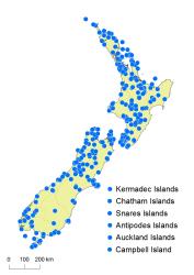 Histiopteris incisa distribution map based on databased records at AK, CHR & WELT.
 Image: K. Boardman © Landcare Research 2017 CC BY 3.0 NZ